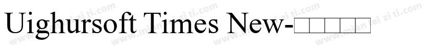 Uighursoft Times New字体转换